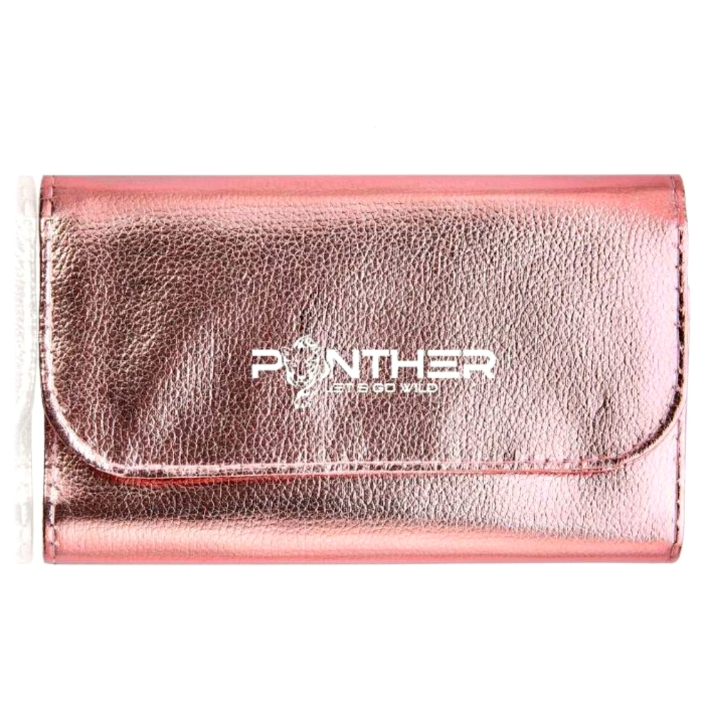 Panther 10 Pcs Brush Set